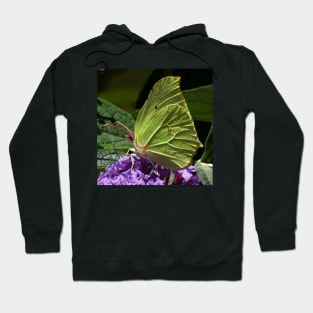 Brimstone Hoodie